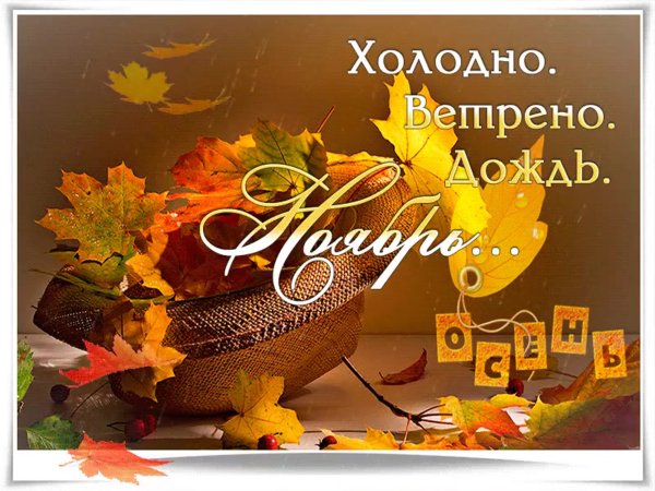 Хорошего последнего дня осени