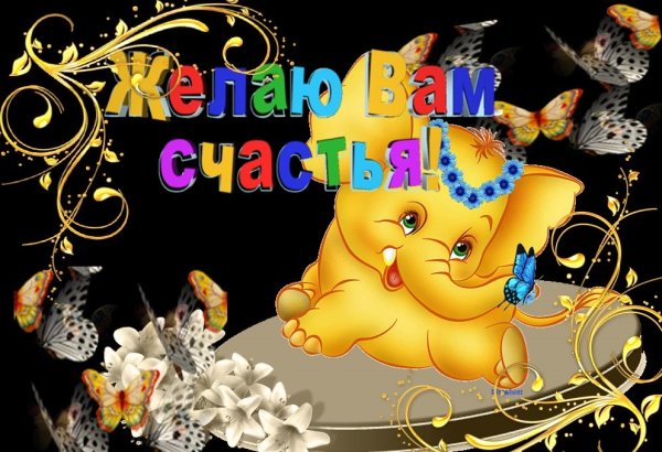 С рождением внука