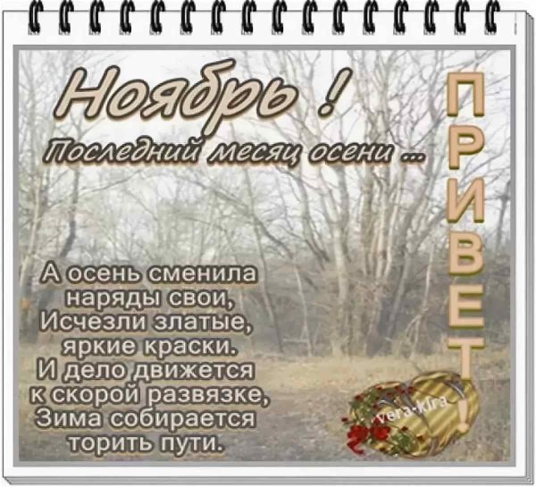 Ноябрь последний месяц осени