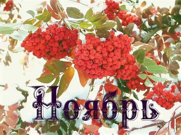 С первым днем ноября