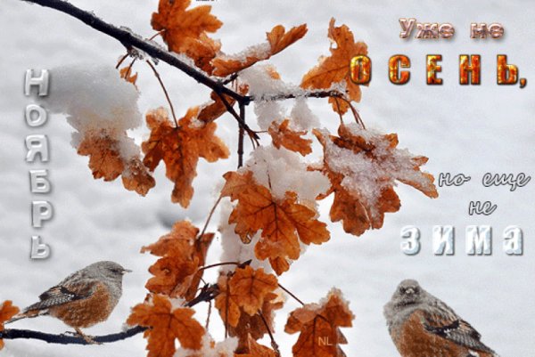 Последний месяц осени