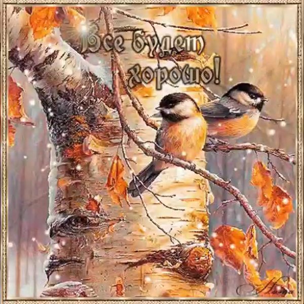 Доброе ноябрьское утро и хорошего дня