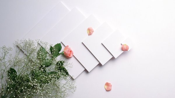 Фоны цветочные креативные