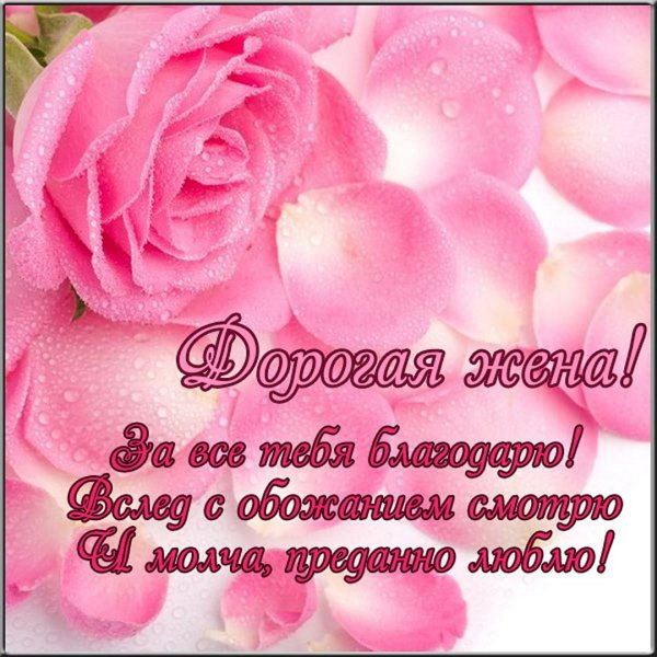 Любимой жене