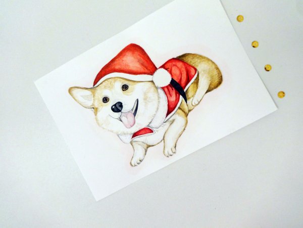 Новогодний корги рисунок