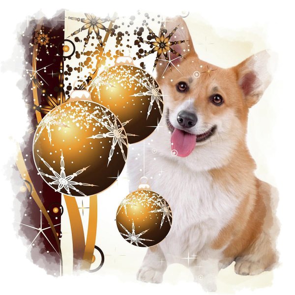 Открытка с корги на новый год
