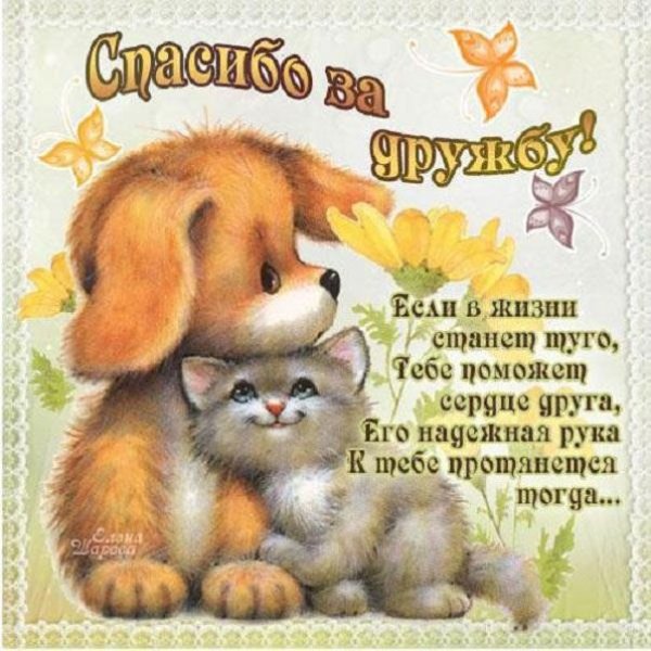День друзей открытки