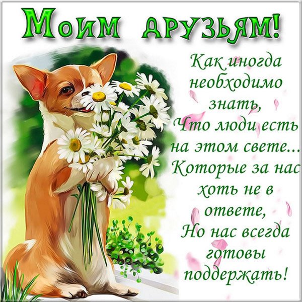 Поздравление для кодрузец