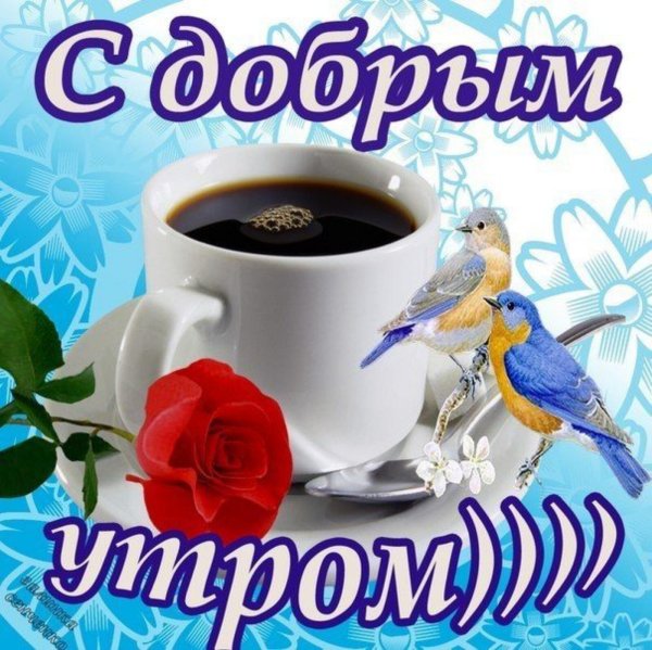 С добрым утром открытки самые красивые