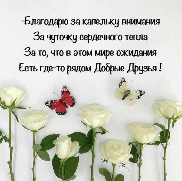 Мудрые пожелания