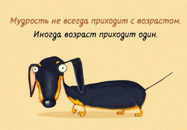 Веселые и Мудрые высказывания