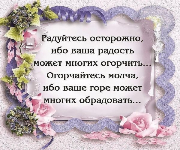 Фразы про радость жизни