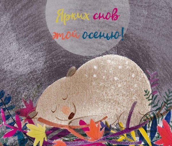 Ночь открытки стильные