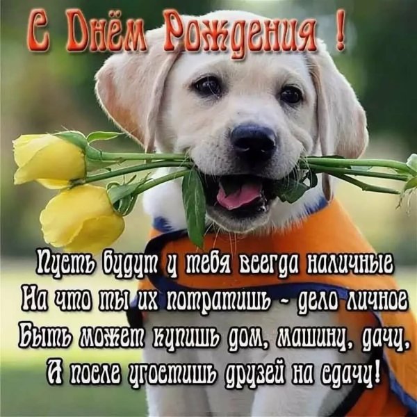 Смешные поздравления