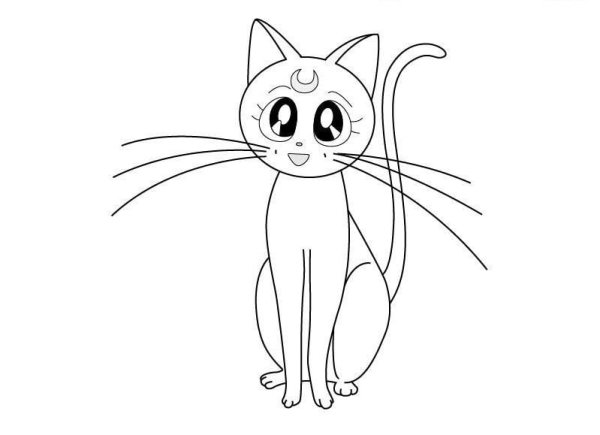 Рисунки котиков для срисовки