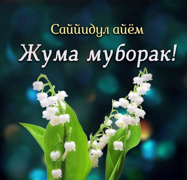 Ч̷у̷м̷а̷ м̷у̷б̷о̷р̷а̷е̷