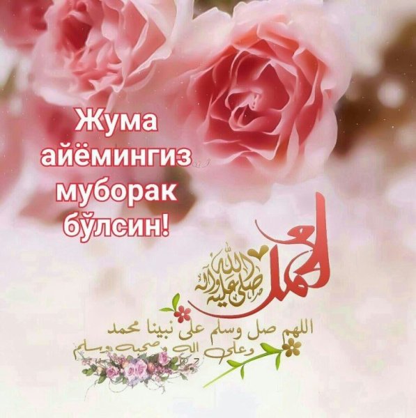 Ч̷у̷м̷а̷ м̷у̷б̷о̷р̷а̷е̷