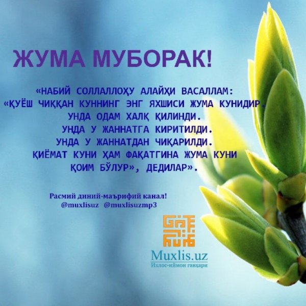 Жума табриклари