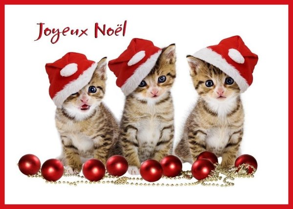 Merry Christmas на французском