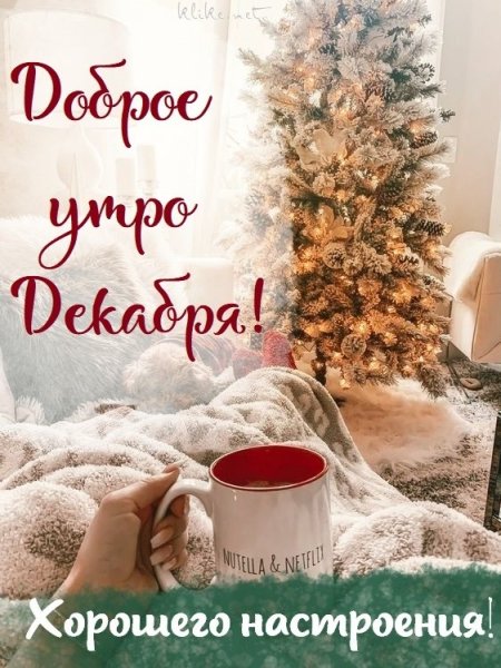 Доброе утро картинки