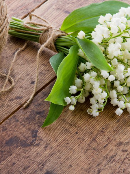 Поздравление с 13 годовщиной свадьбы