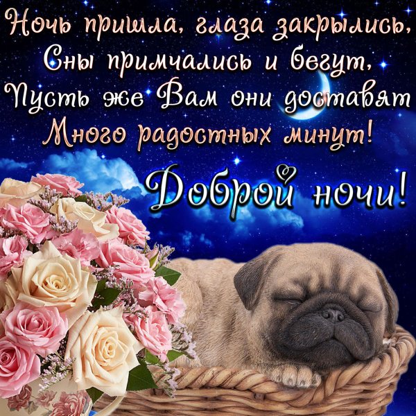 Спокойной ночи