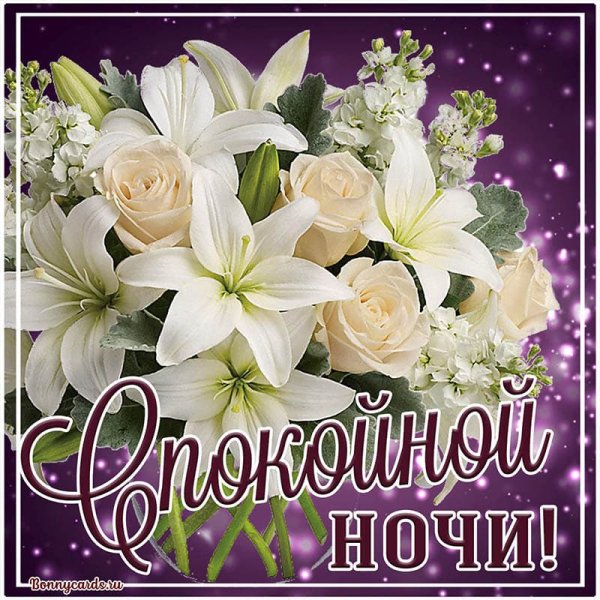 Пожелания доброй ночи