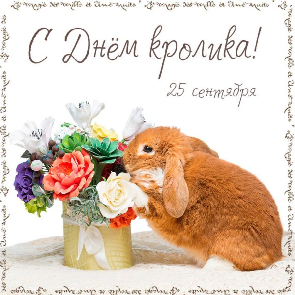 Новогодние открытки с зайцами