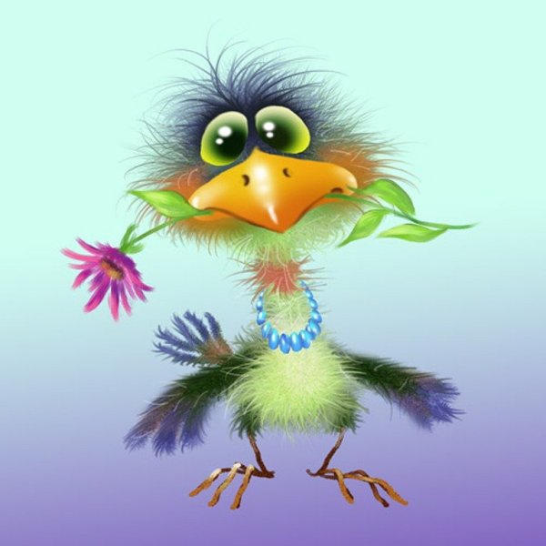 Смешные открытки