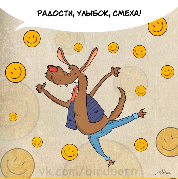 Кошки Алексея Долотова