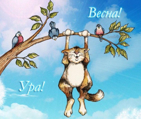 Ежик и Медвежонок ромашки