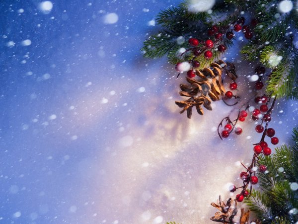 Красивый новогодний фон