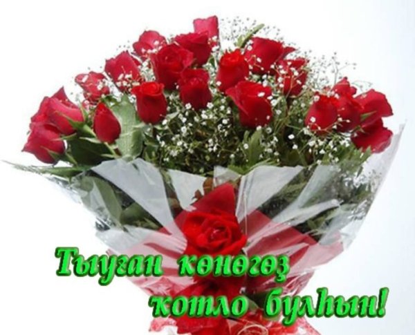 Туган Конон менан котлайбыз