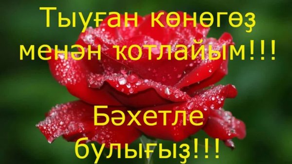 Ҡотлайым открытки