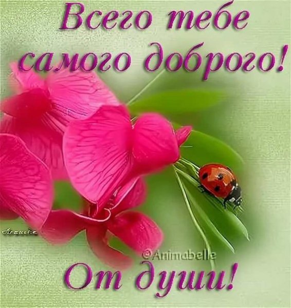 Всего тебе самого хорошего