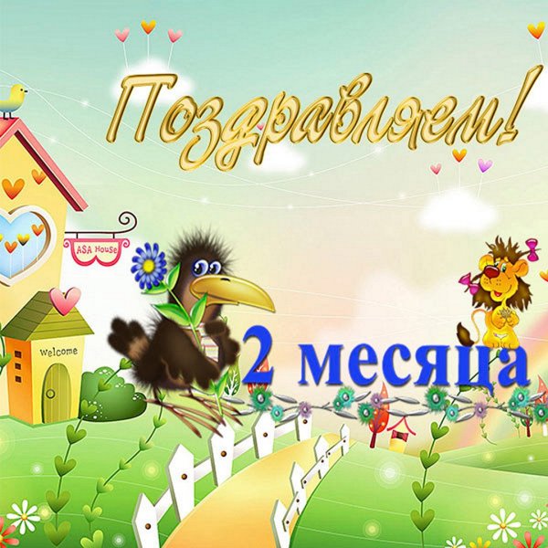 Поздравление с 2 месяцами мальчика