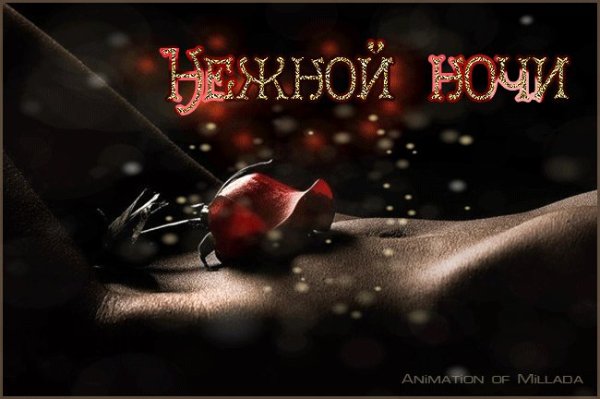 Ласковой ночи