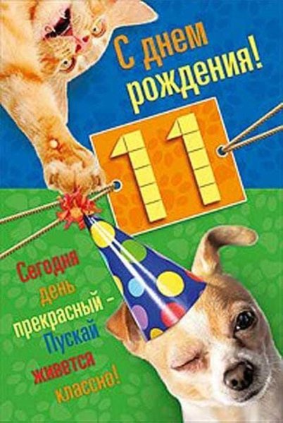 С днем рождения 11 лет