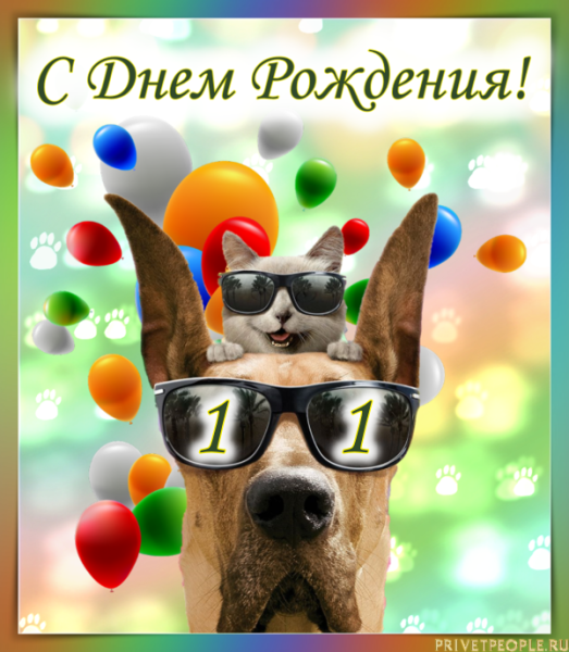 Поздравление с днем рождения 11 лет
