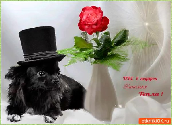 Красивые открытки просто так