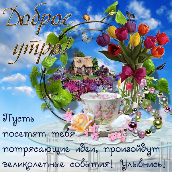 Поздравления с добрым утром и днем