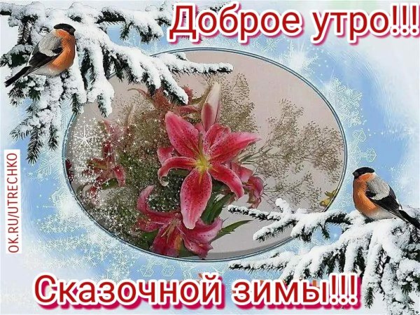 Доброе зимнее утро среды