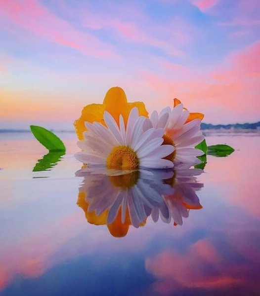 Доброе утро душевные