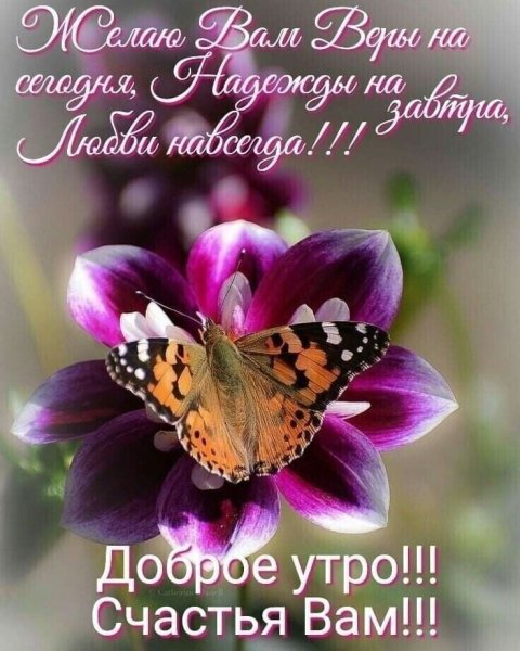 Доброе утро цитаты