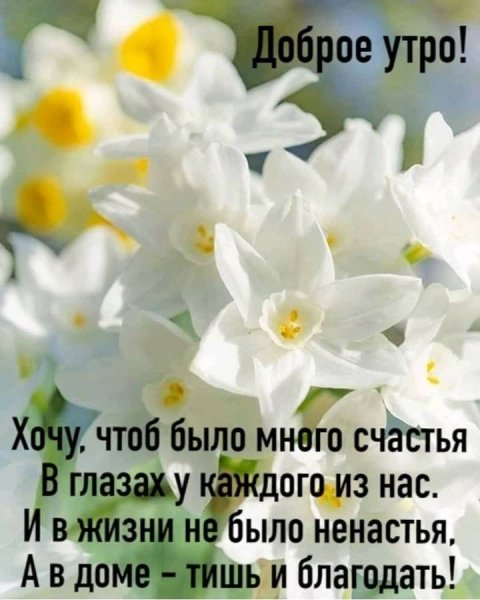 Пожелания с добрым утром и здоровья