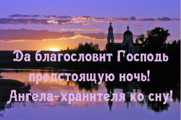 Спокойнойночки с голубями