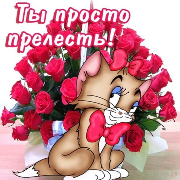 Красивые розы для моей красавицы