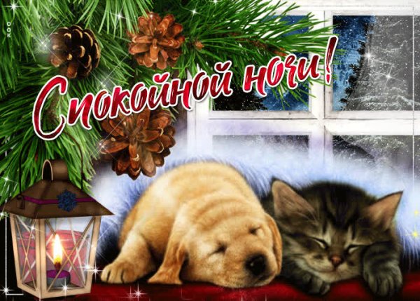 Спокойной ночи анимация красивые зимние