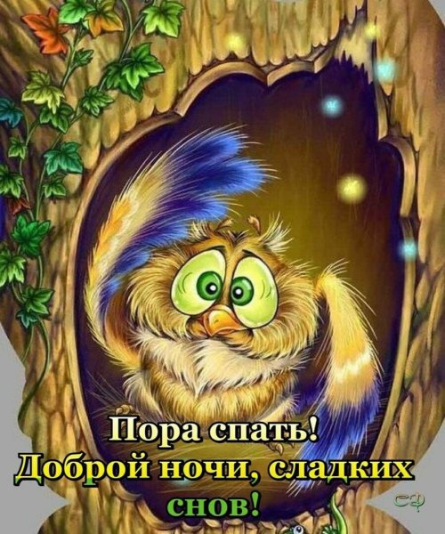 Добрых снов Сова