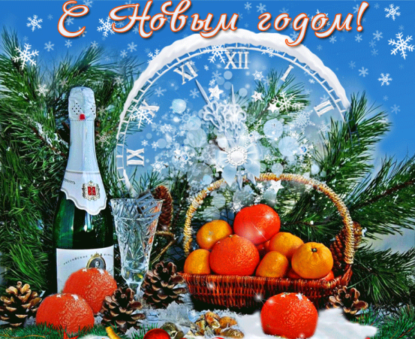 Яна ел Белен коллеги